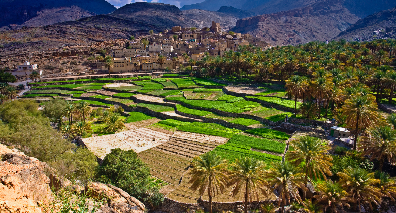 blad seat. Oman